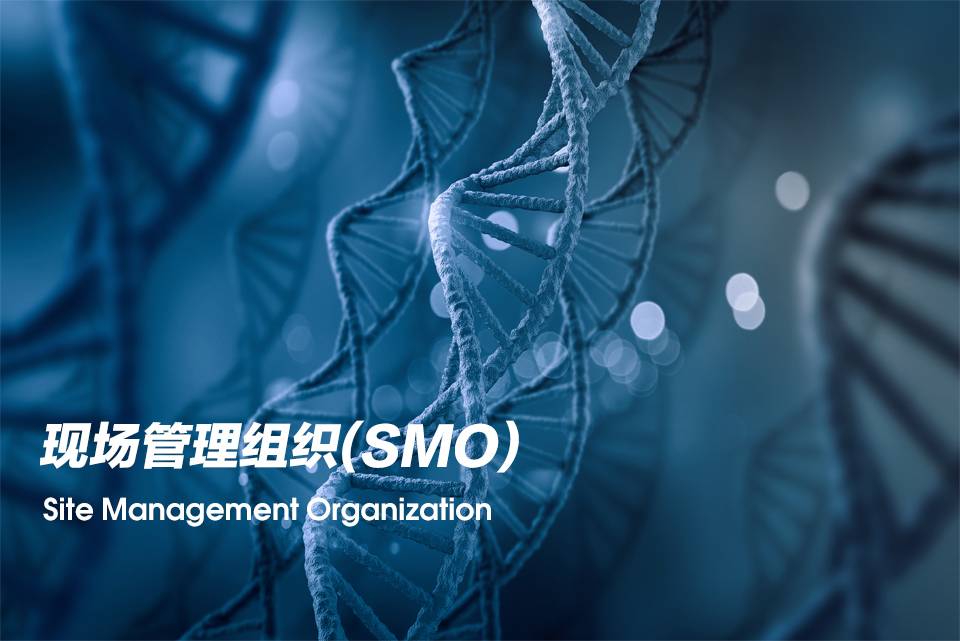 现场管理组织（Site Management Organization，，，SMO）